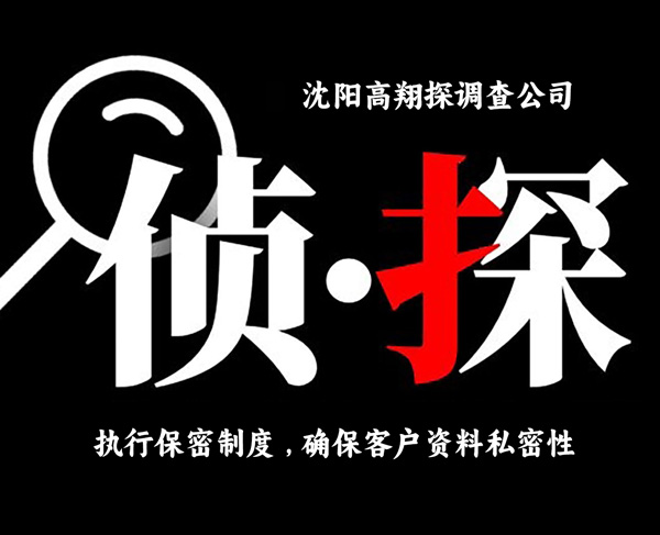 沉浸式侦探推荐协议